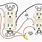 How to Wire an Electrical Outlet Wiring