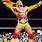 Hulk Hogan Champion