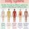 Human Body Systems Poster