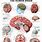 Human Brain Poster