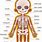 Human Skeleton Picture for Kids