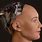 Human-Robot Head