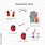 Hypovolemic Shock Diagram