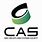 IEEE CAS Society Logo