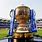 IPL Cricket Trophy