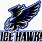 Ice Hawks Hockey