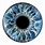 Iris Eye Paint