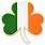 Irish Flag Pin