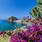 Ischia Island