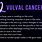Itching Vulvar Cancer