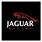 Jaguar F1 Logo