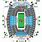 Jaguars Stadium Map