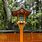 Japanese Shrine Lantern