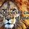 Jesus Christ Lion of Judah