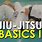 Jiu Jitsu Basics