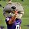 Kansas State Wildcats Mascot