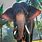 Kerala Elephant Back