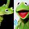 Kermit Frog Real