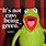 Kermit Sayings