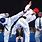 Korean Tae Kwon Do