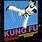 Kung Fu NES Box Art