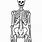 Large Human Skeleton Printable