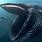 Largest Ocean Animal