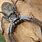 Largest Spider in Africa