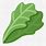 Leafy Green Emoji