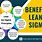 Lean Six Sigma Overview
