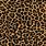 Leopard Print Desktop