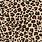 Leopard Print Graphic