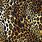 Leopard Print HD