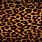 Leopard Print HD Background