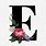 Letter E in Flowers