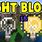 Light Block Minecraft Java