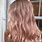 Light Pink Gold Hair