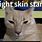 Light Skin Stare Cat Meme