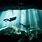 Light Underwater Photography