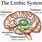 Limbic System Hypothalamus