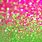 Lime Green and Pink Glitter Wallpaper