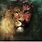 Lion of Judah and Jesus