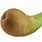 Long Pear