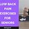 Low Back Pain Exercises for Seniors