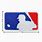 MLB Logo Patch