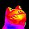 MLG Rainbow Frog