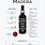 Madeira Wines Types