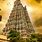 Madurai Meenakshi Amman Temple Timings