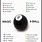 Magic 8 Ball Phrases