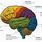 Map of Human Brain Function